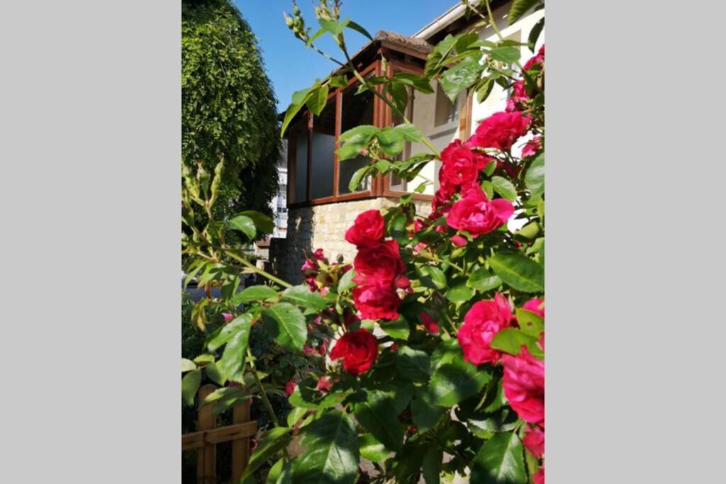 Maison très beau jardin 10 mn a pied centre ville Bayeux proche plages du débarquement Exterior foto