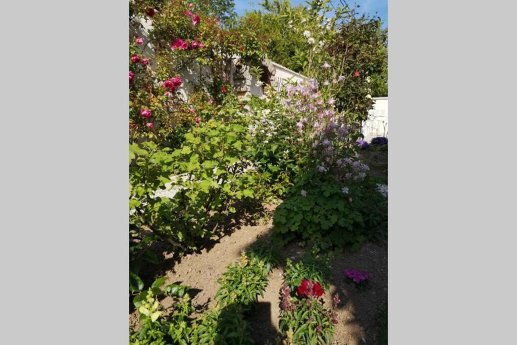 Maison très beau jardin 10 mn a pied centre ville Bayeux proche plages du débarquement Exterior foto